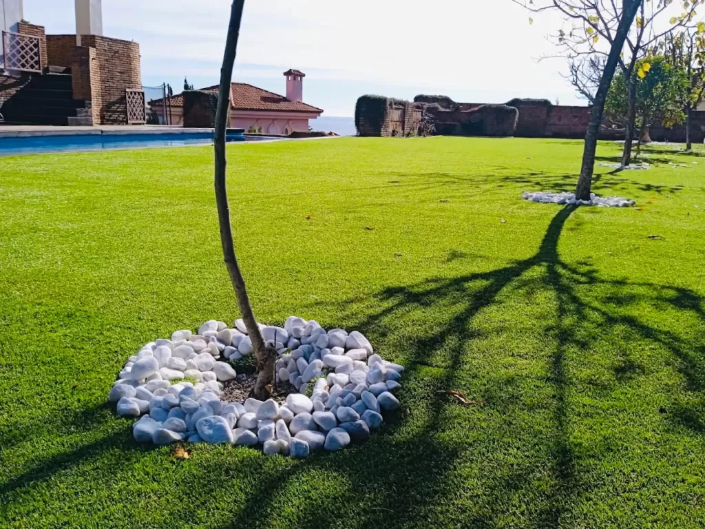 Pradera de césped natural con árbol joven y alcorque de piedra blanca en un jardín de Sotogrande