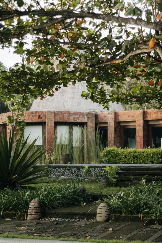 Jardín con plantas tropicales, cícas y arbolado en una villa de Sotogrande