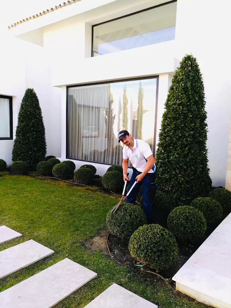 Jardinero de EcoGarden perfilando bolas de boj y cipreses en el jardín de una villa de Sotogrande