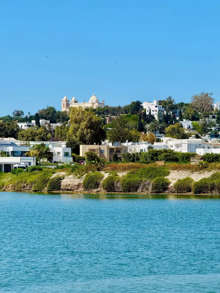 Vista de las urbanizaciones de Sotogrande desde la laguna
